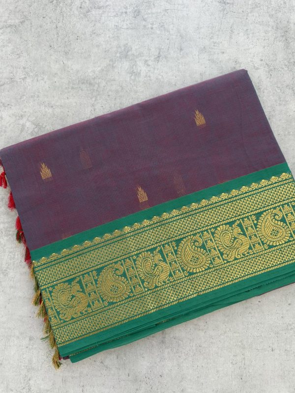 Dual Shade Kanchi Cotton with Green Contrast Border