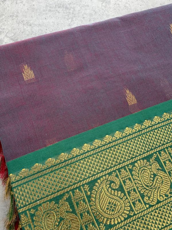 Dual Shade Kanchi Cotton with Green Contrast Border - Image 2